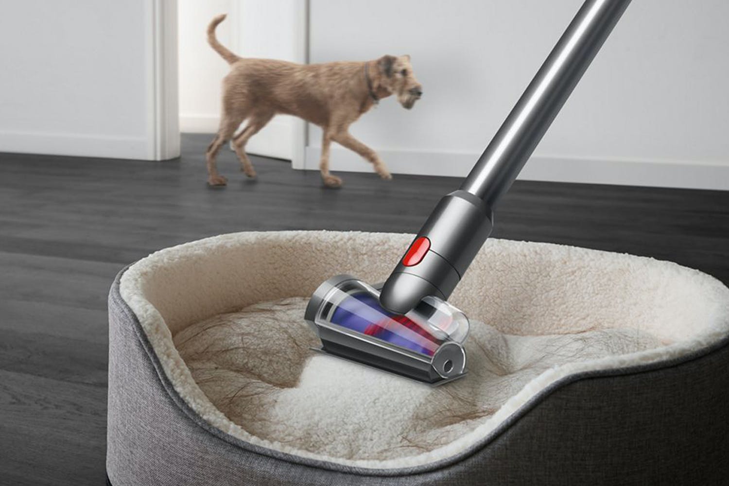 Dyson V15 Detect Absolute Cordless Vacuum Cleaner | 369372-01