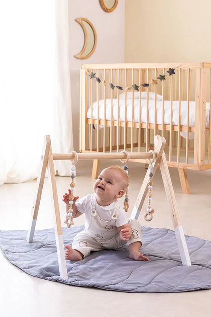 WOODEN GYM ZIGGY KIDS