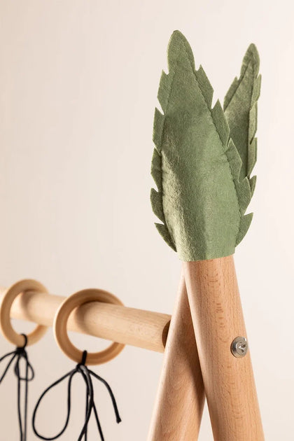 Wooden Gym Zafari Kids